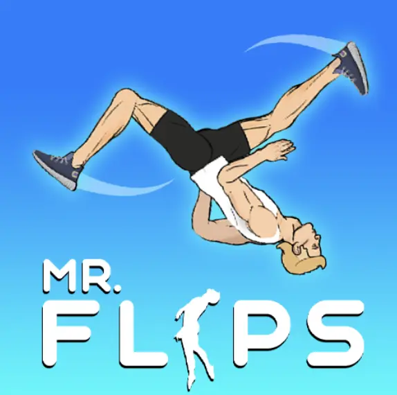 Mr Flip